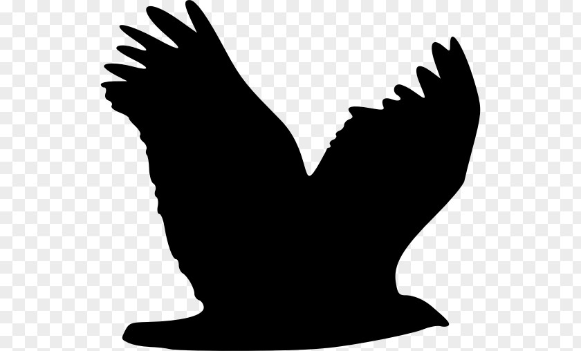 Bird Silhouette Eagle Clip Art PNG