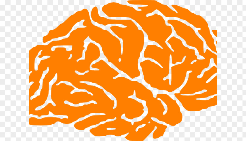 Brainiac Insignia Clip Art Human Brain Vector Graphics PNG