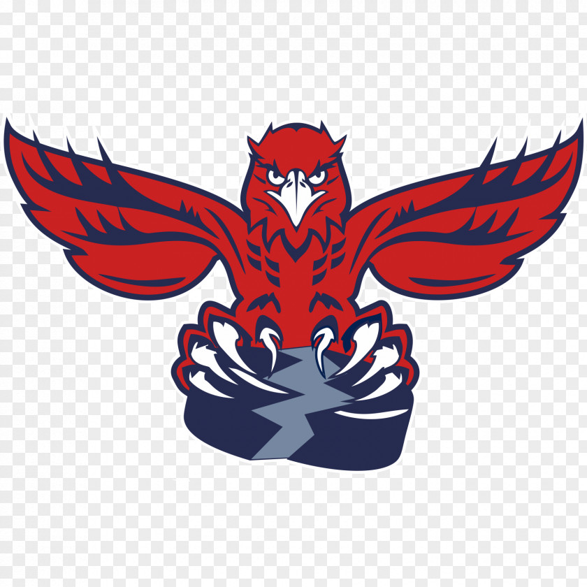 Atlanta Hawks Logo Sokol Krasnoyarsk Supreme Hockey League Khimik Voskresensk Yuzhny Ural Orsk Club PNG