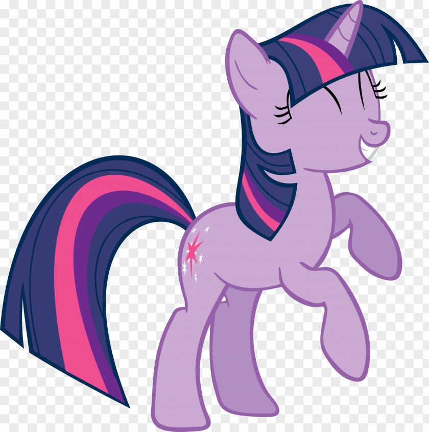 Audiophile Vector Twilight Sparkle Sunset Shimmer Pinkie Pie Applejack Rarity PNG