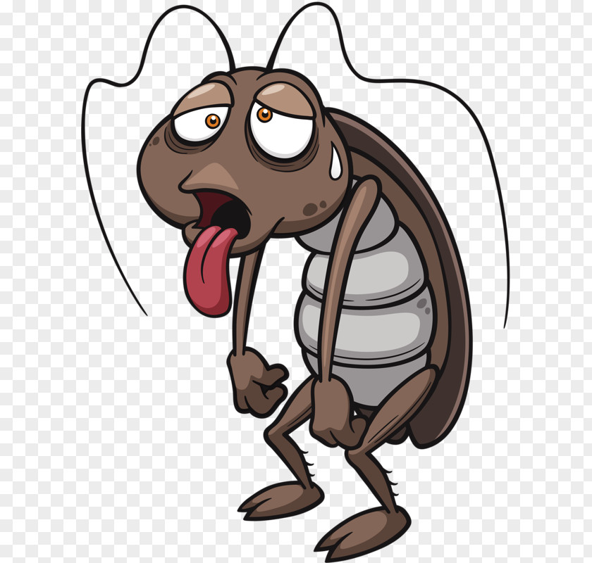 Cartoon Cockroach Stock Photography Clip Art PNG