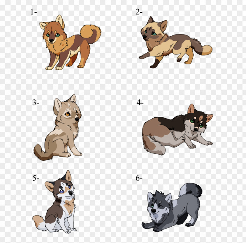 Cat Dog Breed Tail Wildlife PNG