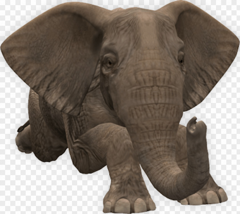 Elephants Clip Art File Format Computer PNG