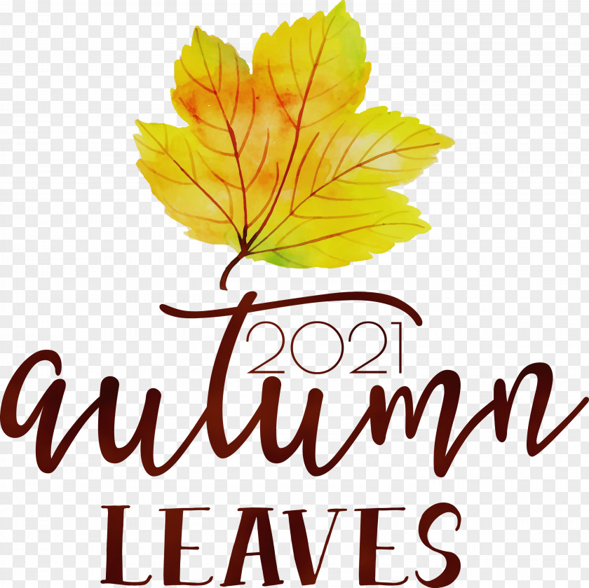 Leaf Flower Tree Font Meter PNG