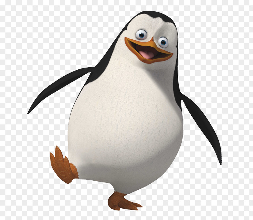 Penguin Private Kowalski Rico Skipper PNG