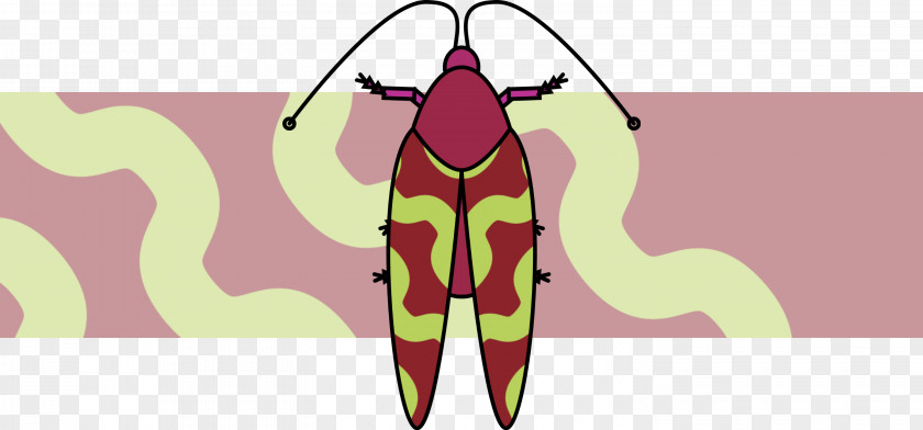Pest Symmetry Ant Cartoon PNG