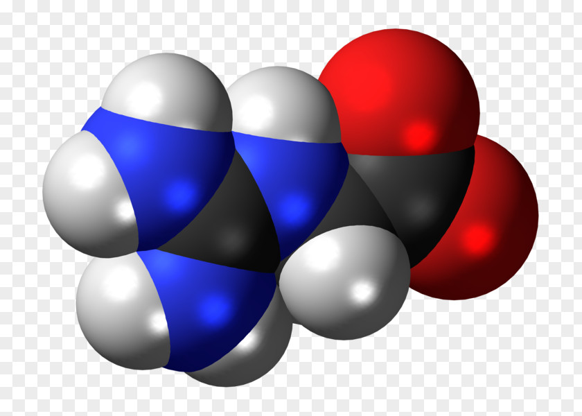 Precursor Version Glycocyamine Succinic Acid Gamma-Aminobutyric Amino PNG