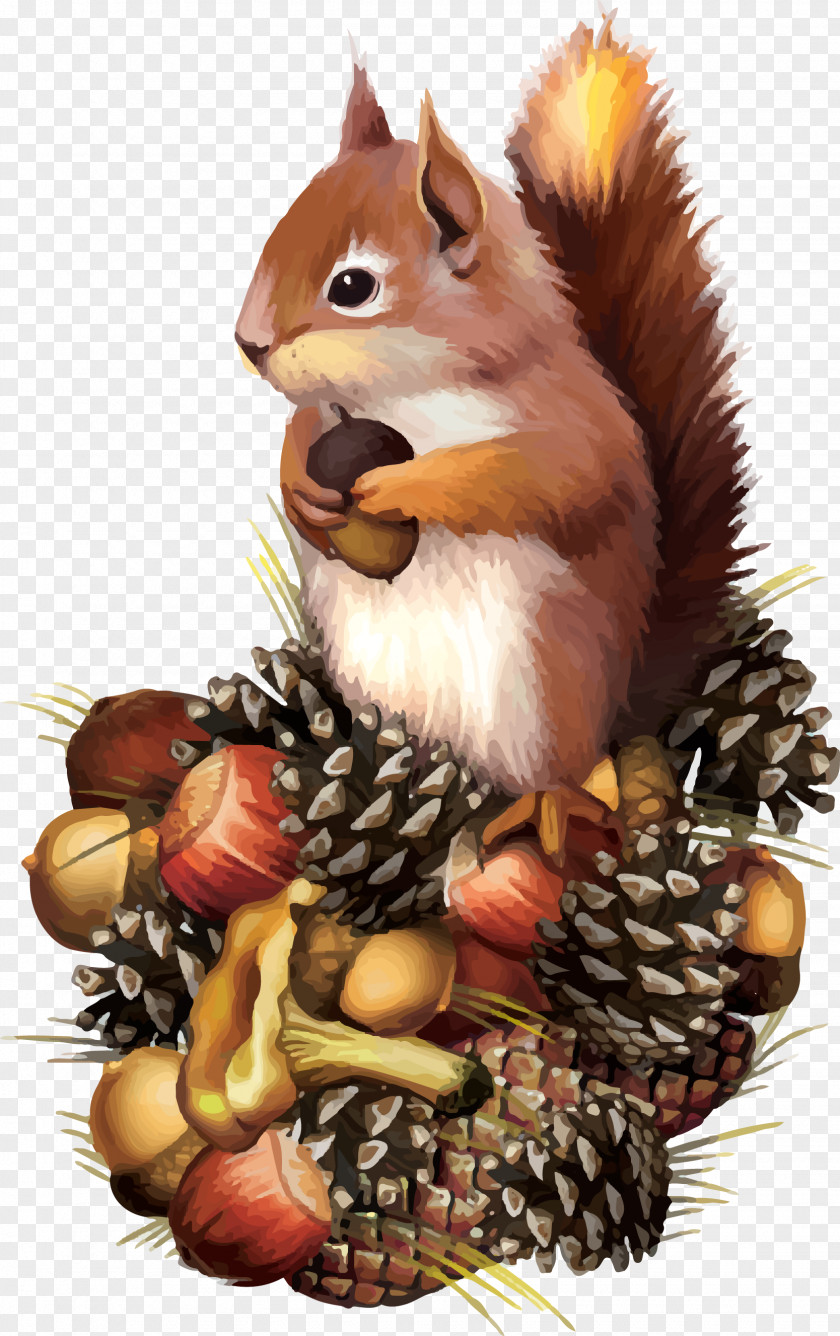Squirrel Red Chipmunk Clip Art PNG