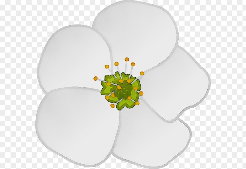 Symbol Flower Petal Plant PNG