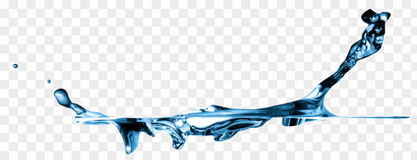 Water Bottled Bottles Drinking PNG