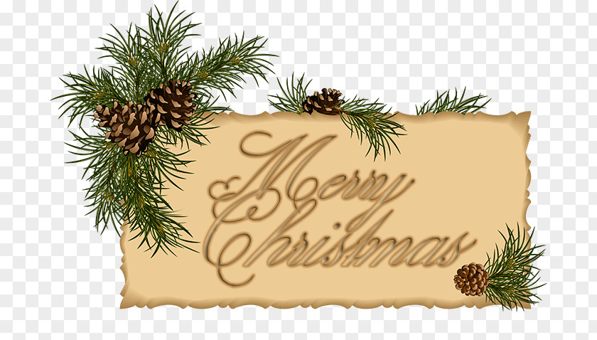 Announcement Merry Christmas Ornament Santa Claus Card Decoration PNG
