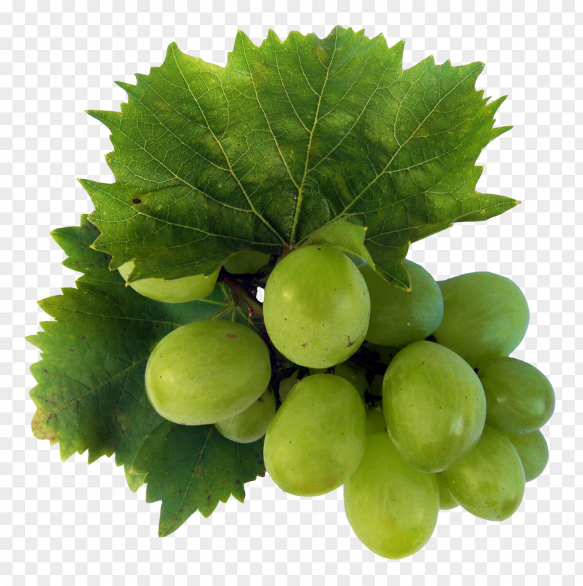 Green Grapes Wine Sultana Riesling Grape Fruit PNG