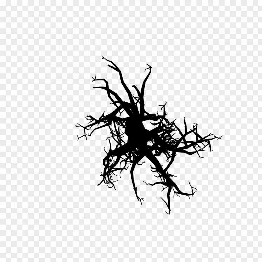 M Desktop Wallpaper Leaf Twig Plant Stem Black & White PNG