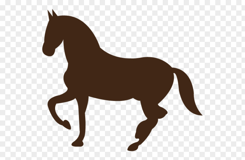 Horse Equestrian Hunt Seat PNG