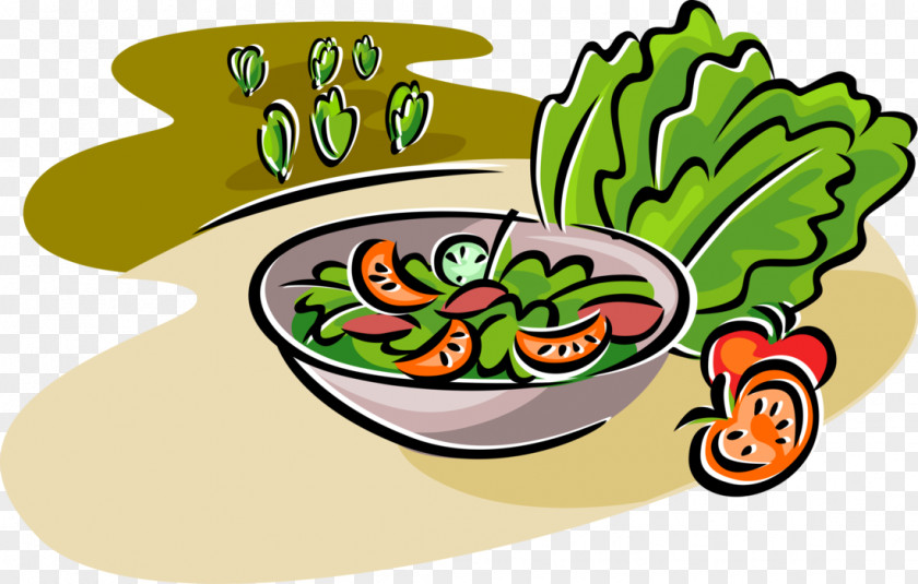 Salad Clip Art Chicken Openclipart Vegetable PNG