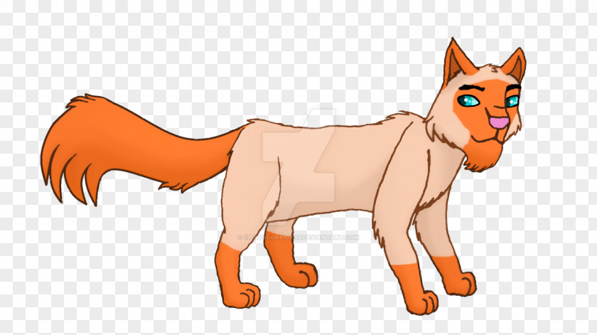 Cat Red Fox Lion Horse Mammal PNG