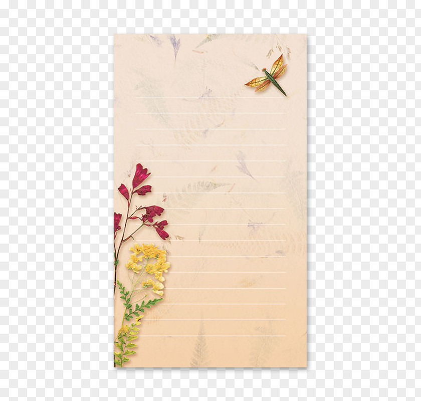 Dragon Fly Paper Garden Notebook Picture Frames Insect PNG