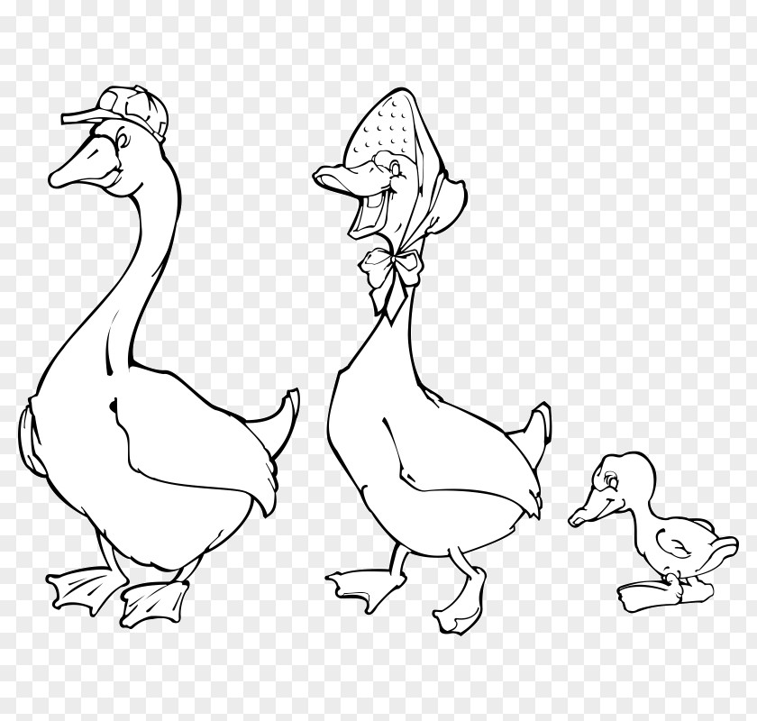 Duck Chicken Goose Bird Grey Geese PNG