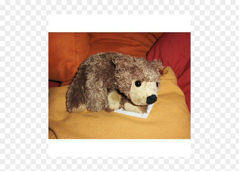 Golden Retreiver Marsupial Fauna Stuffed Animals & Cuddly Toys Snout PNG