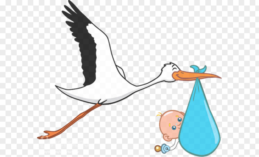 Hand Painted Baby Storks Paris Bird Infant Ciconia Pregnancy PNG