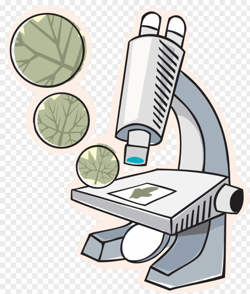 Microscope Slides Biology Desktop Wallpaper Clip Art PNG