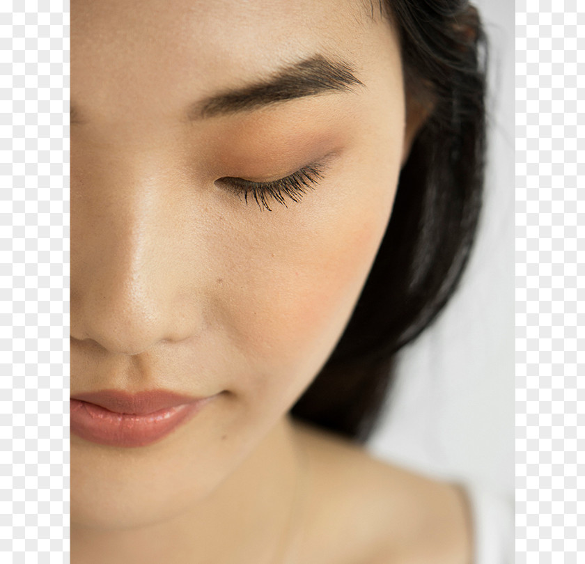 Eye Shadow Powder Eyelash Extensions Beauty Liner PNG