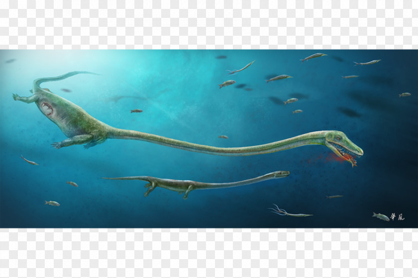 Sea Monster Reptile Dinocephalosaurus Paleontology PNG