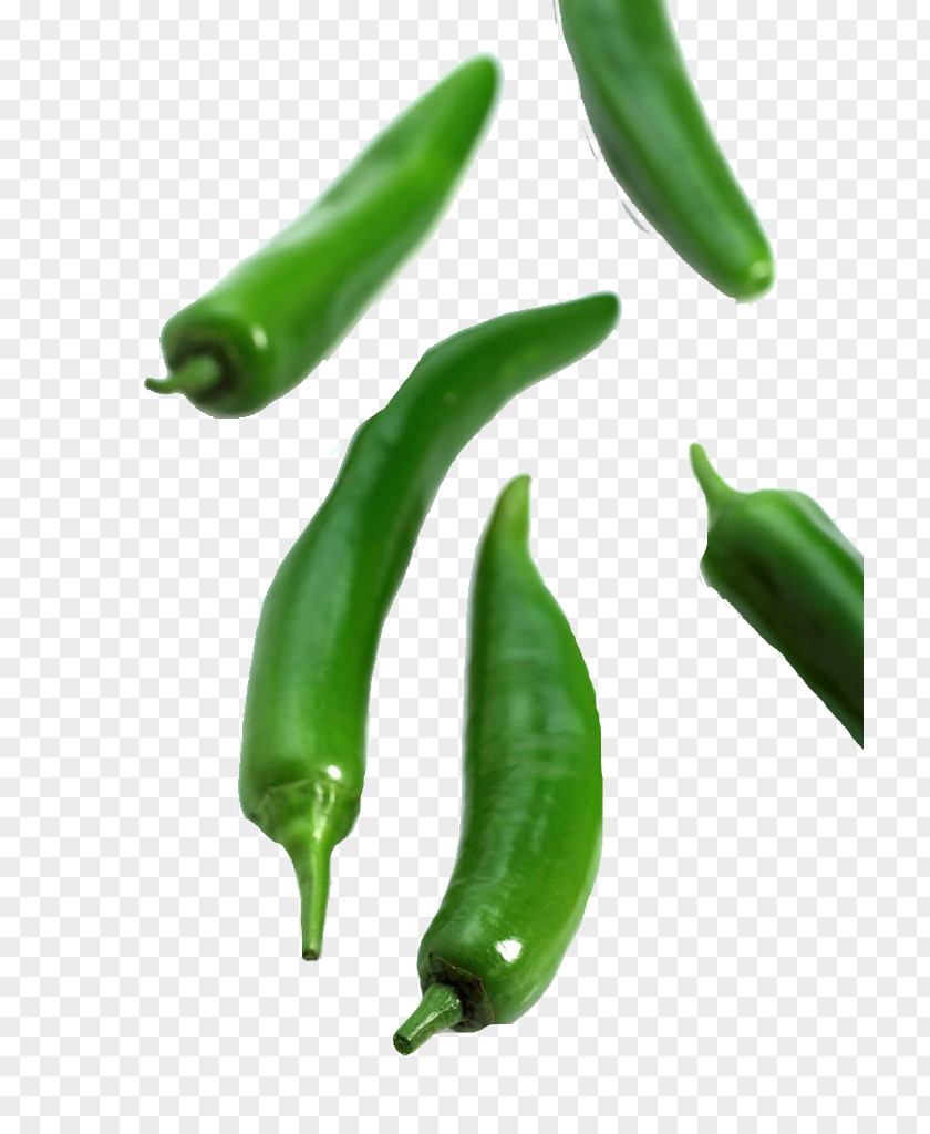 Vegetable Pepper Serrano Birds Eye Chili Jalapexf1o Bell Cayenne PNG