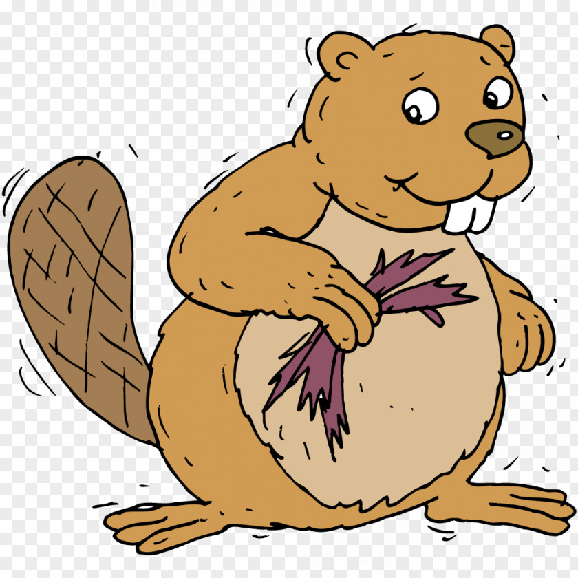 Beaver Clip Art Chipmunk Illustration Animal PNG