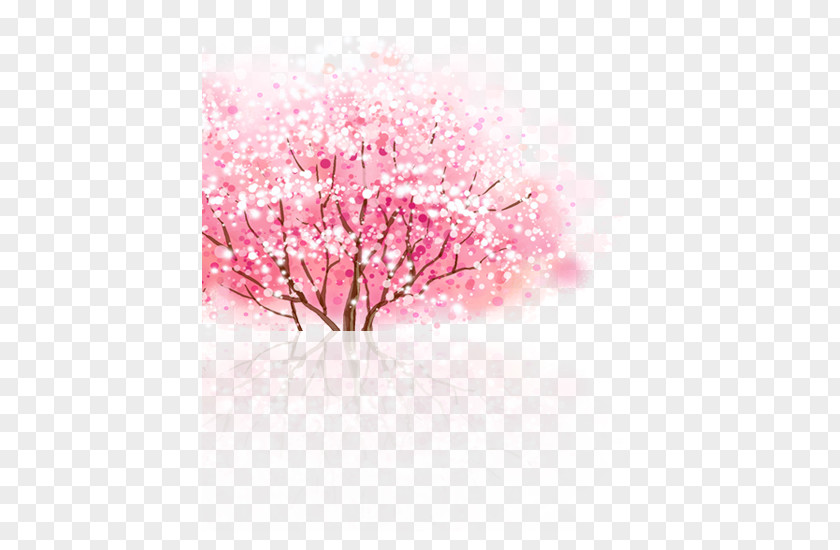 Fresh And Beautiful Cherry Tree Blossom Cerasus PNG