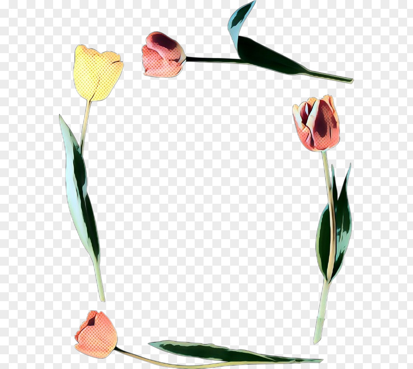 Pedicel Flowering Plant Flower Tulip Clip Art Stem PNG