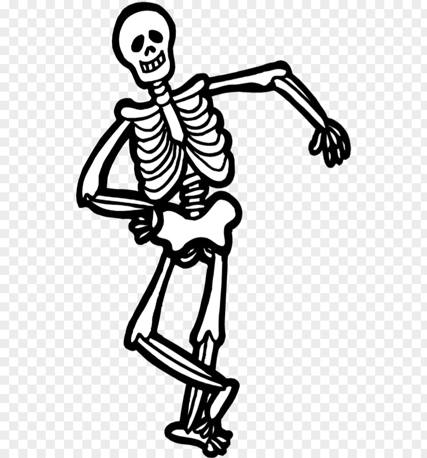 Skeleton Human Drawing Clip Art PNG