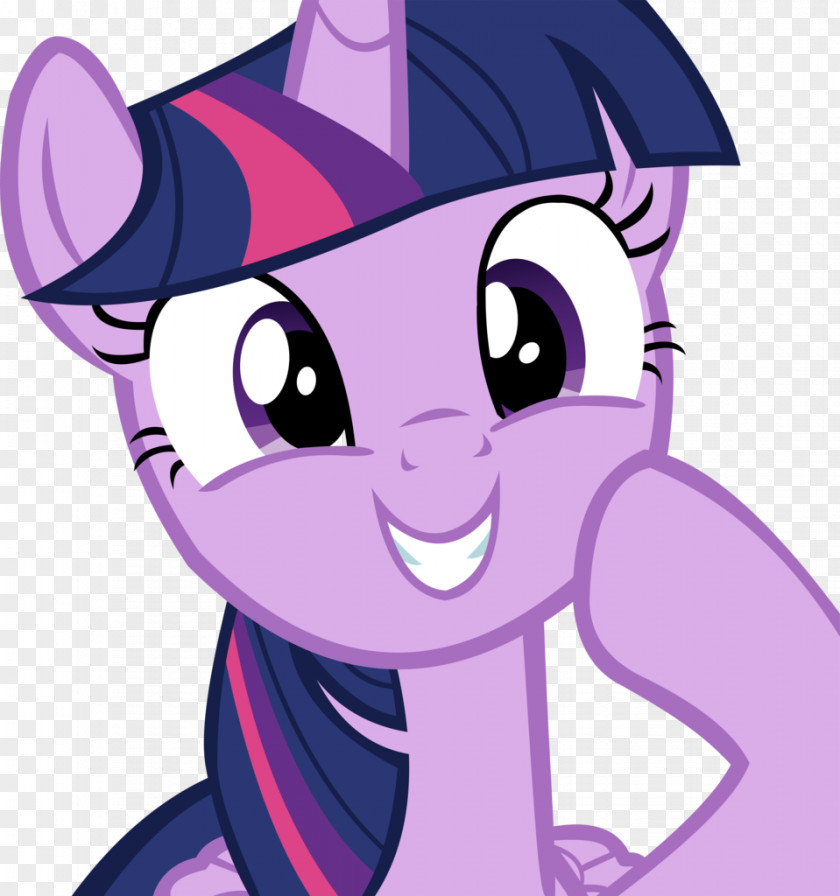 Sparkle Twilight My Little Pony Fluttershy Character PNG