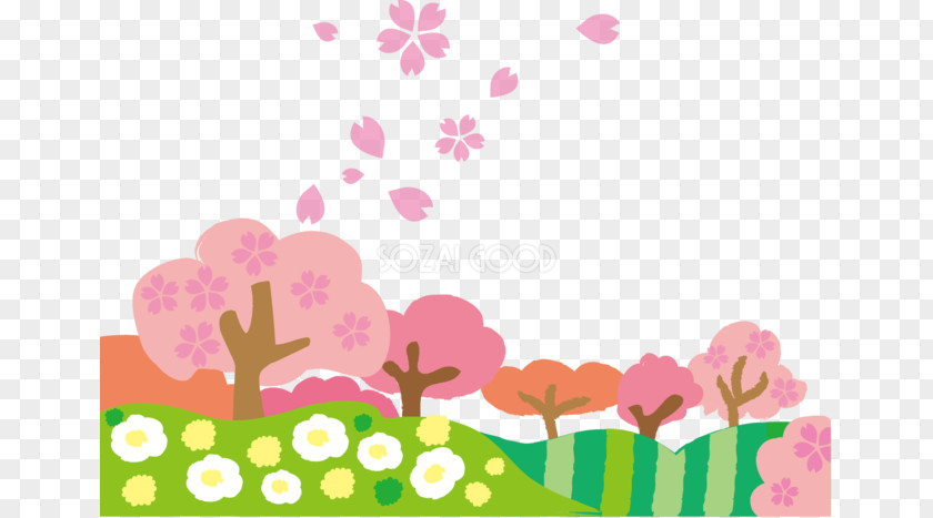 Spring Cherry Blossom Image Hanami Illustration PNG