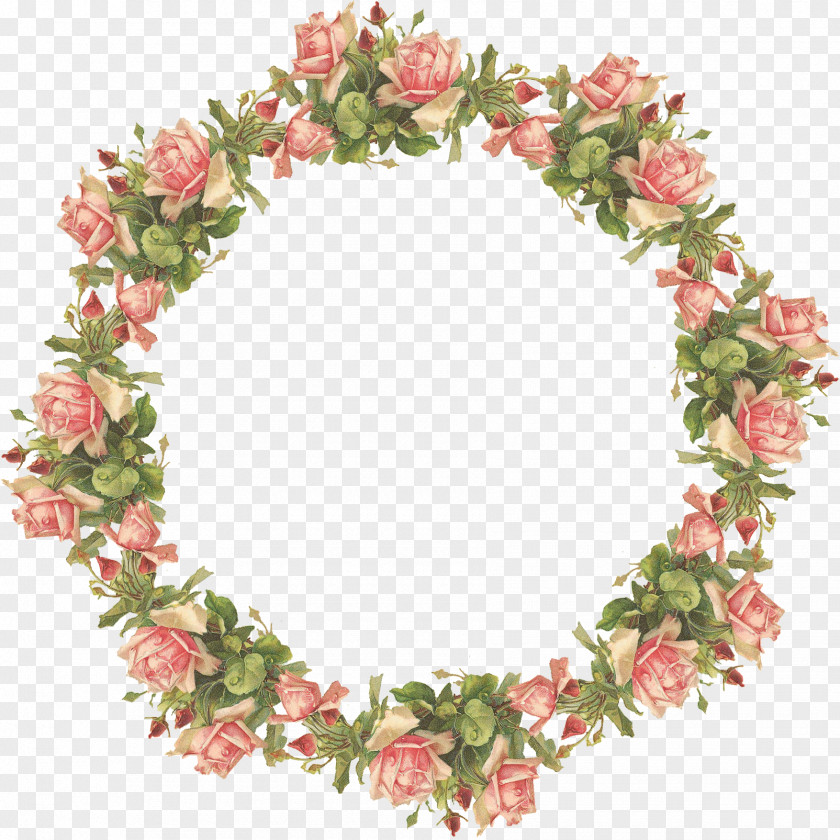 Vintage Transparent Flower Picture Frame Display Resolution Clip Art PNG