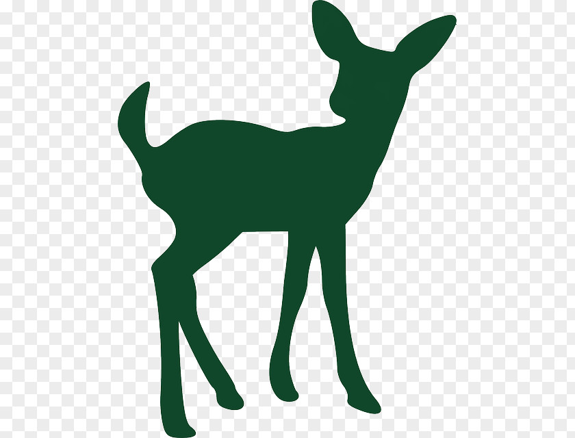 Deer Fawn White-tailed Silhouette Drawing Clip Art PNG