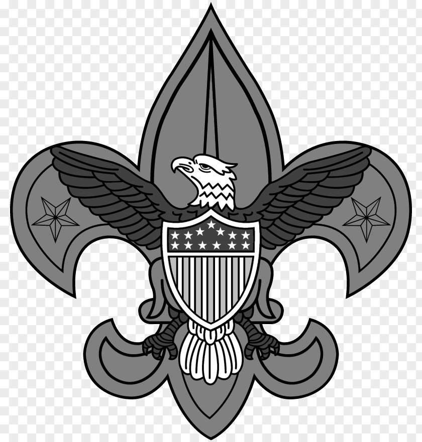 Boyscout Of The Philippines Logo Boy Scouts America Scouting World Scout Emblem Eagle Vector Graphics PNG