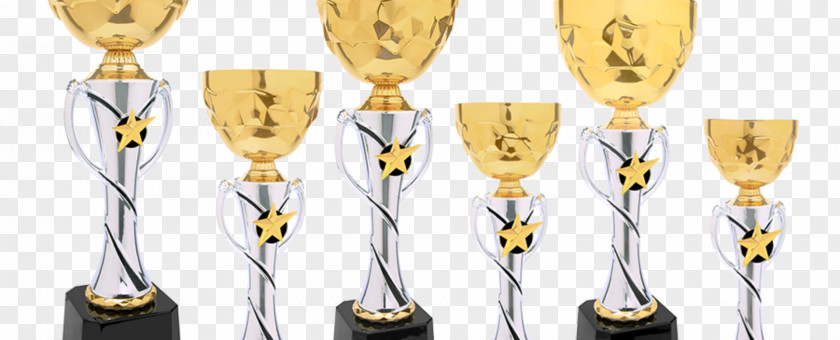 Cup Champagne Glass Trophy Metal Stemware PNG