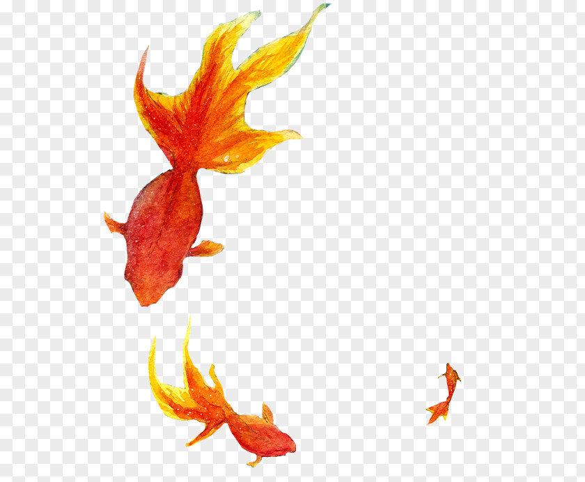 Fish Goldfish PNG