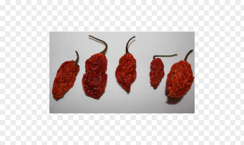 Chili Pepper Bhut Jolokia Pasilla Capsicum Annuum Indian Cuisine PNG