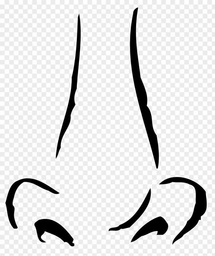 Human Torch Drawing Nose Clip Art PNG