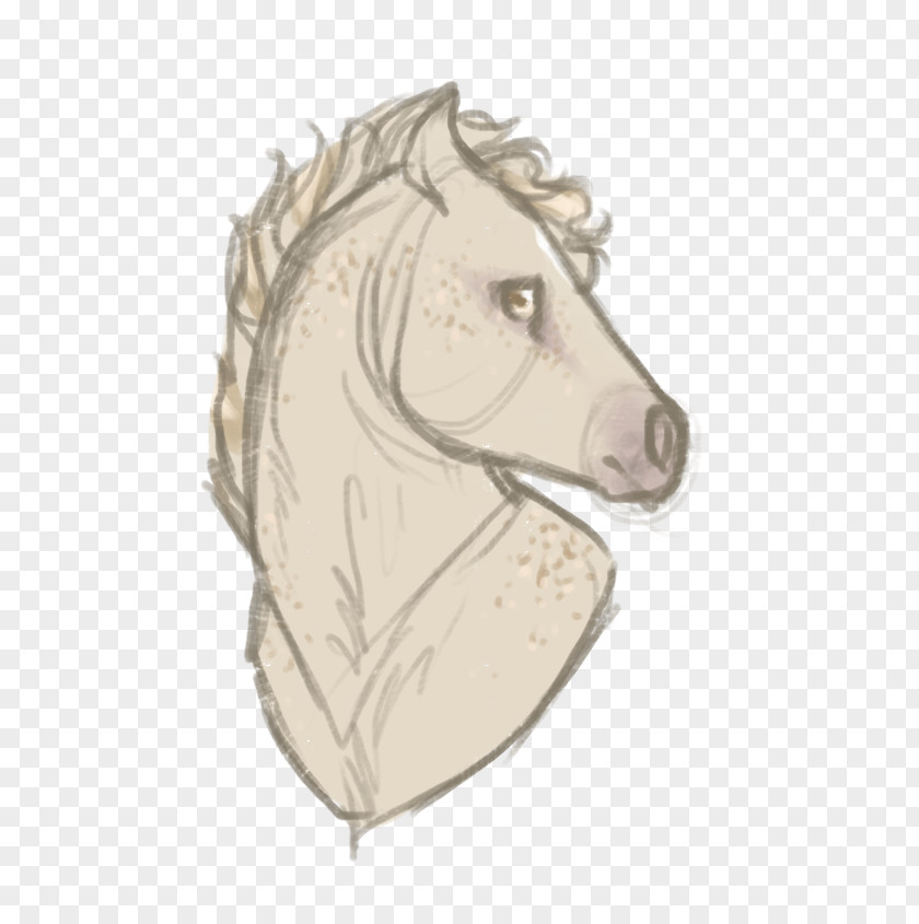 Mustang Mane Pony Sketch PNG