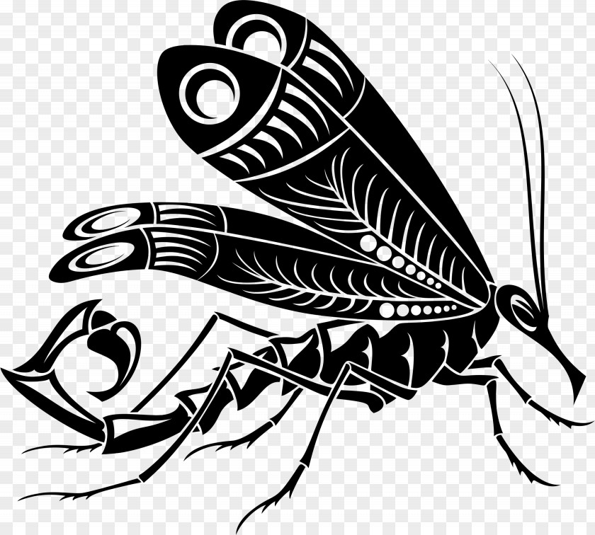 Venomous Butterfly Scorpion Mosquito Clip Art PNG