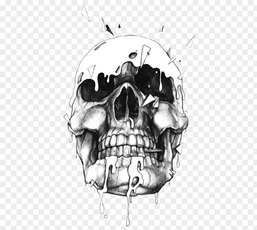 Black Skull Drawing Illustration PNG