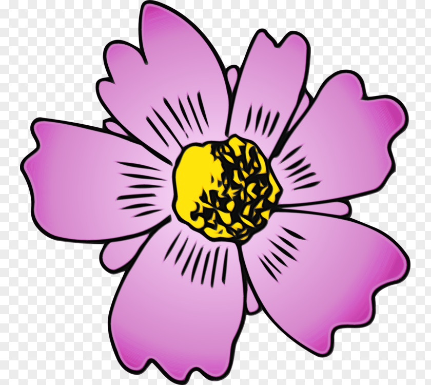 Magenta Wildflower Flowering Plant Flower Petal Pink PNG