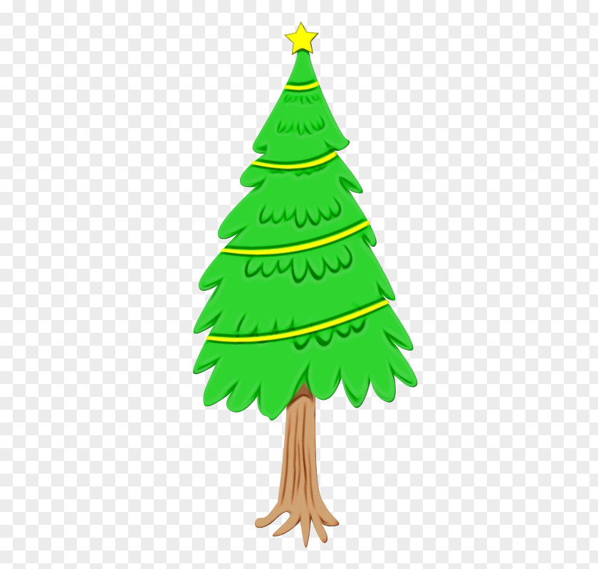 American Larch Spruce Christmas Tree Watercolor PNG