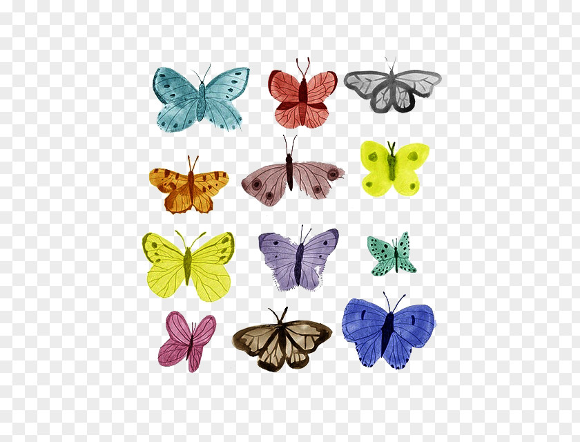 Butterfly Drawing Transparency And Translucency PNG