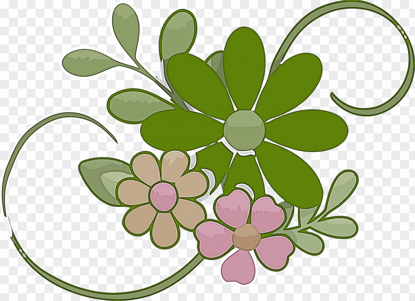 Floral Design PNG