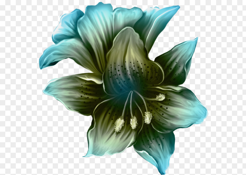 Flower Floral Design Clip Art PNG