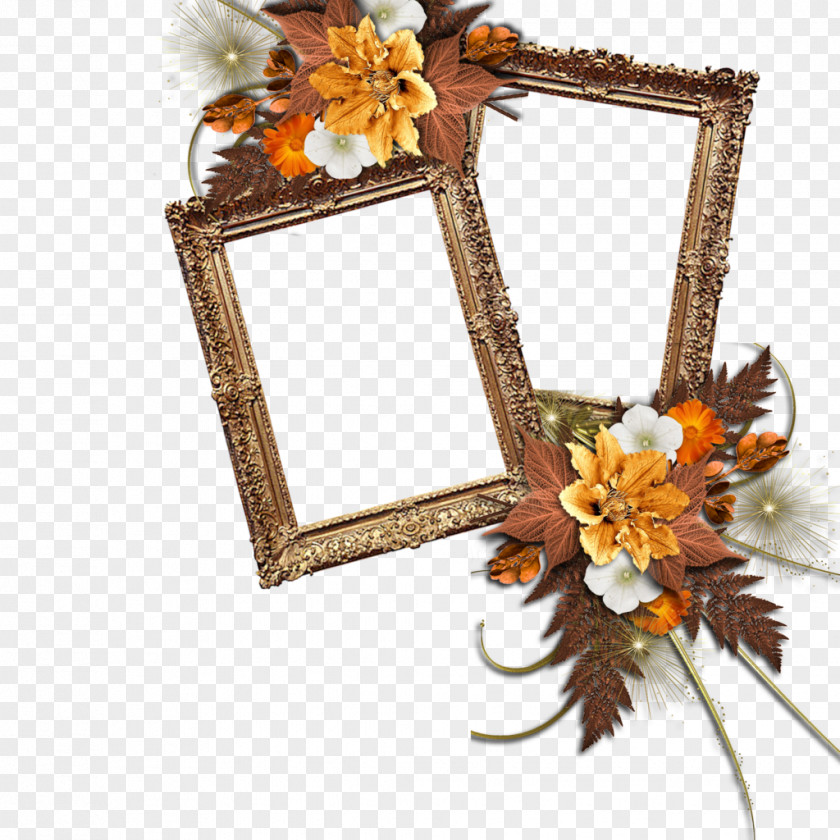 Mood Frame Floral Design Designer PNG